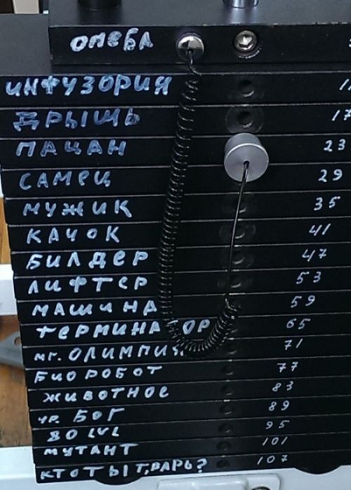 Порция картинок