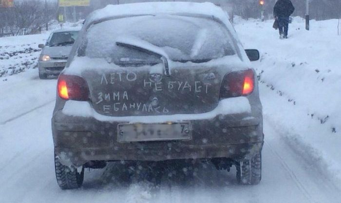 Порция картинок