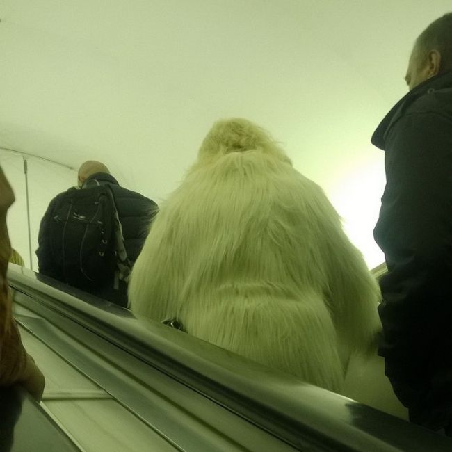 Порция картинок