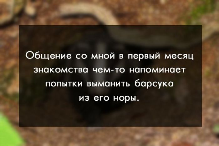 Порция картинок