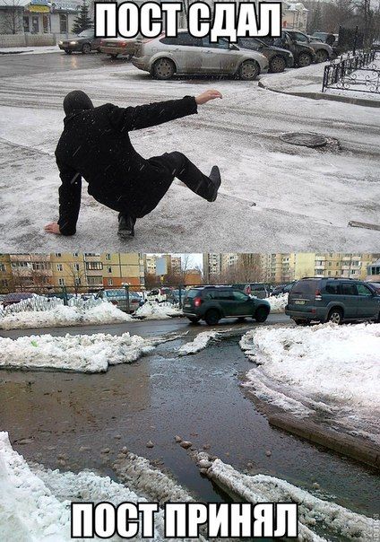 Порция картинок