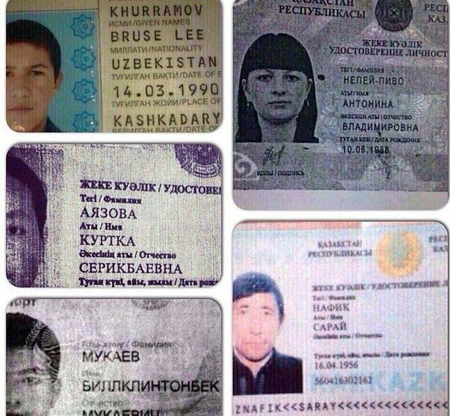 Порция картинок