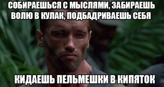Порция картинок