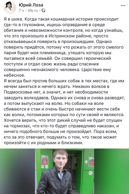 Бродячие собаки в Подмосковье