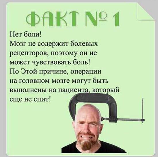 Факты о мозге