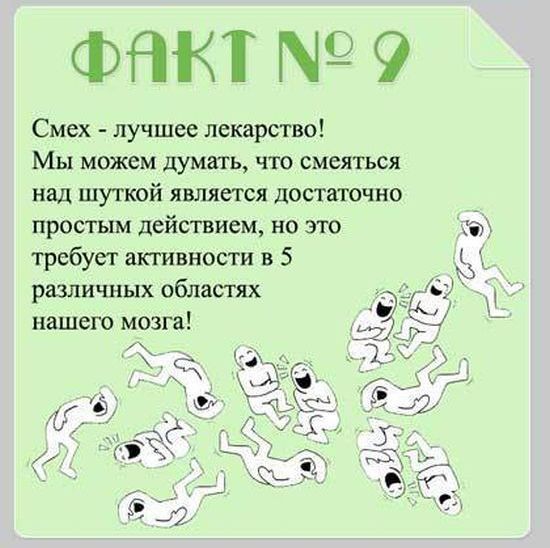 Факты о мозге