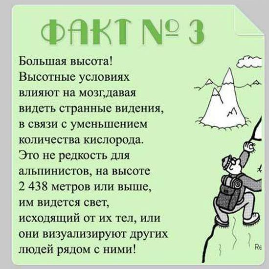 Факты о мозге