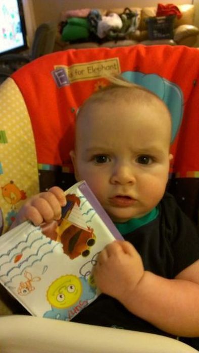 Прикольные картинки