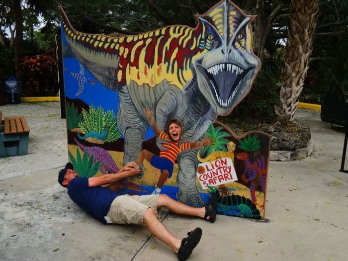 Прикольные картинки