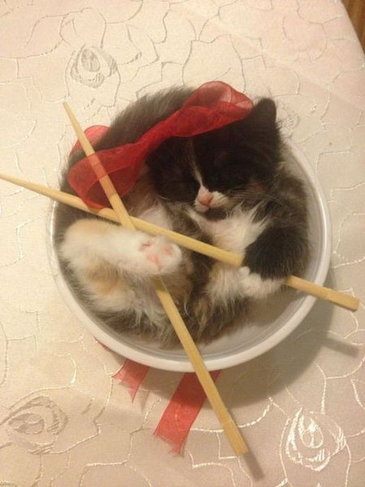 Прикольные картинки