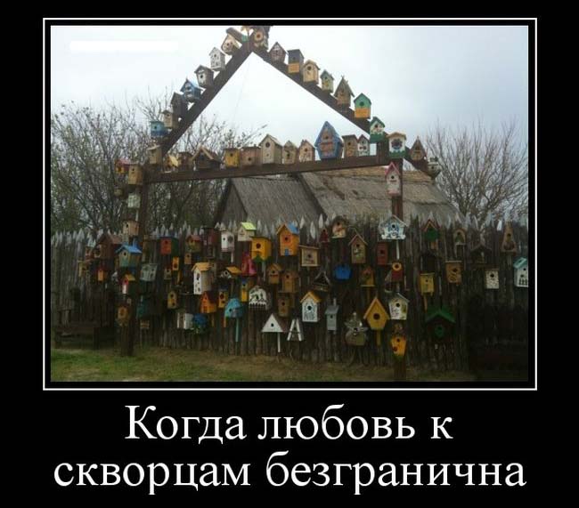Демотиваторы