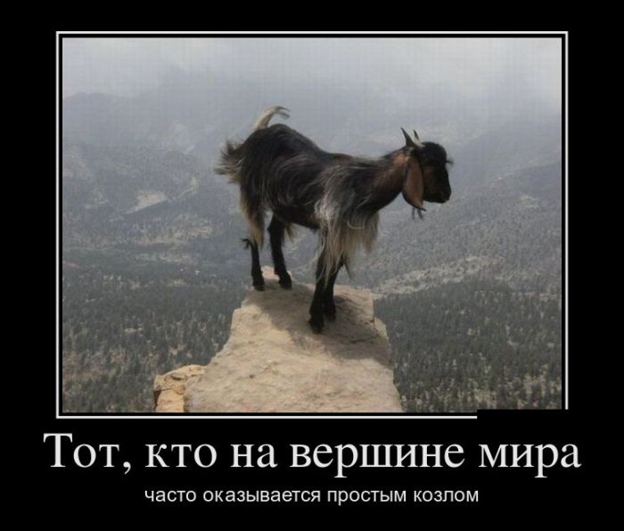 Демотиваторы