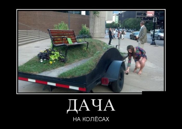 Демотиваторы