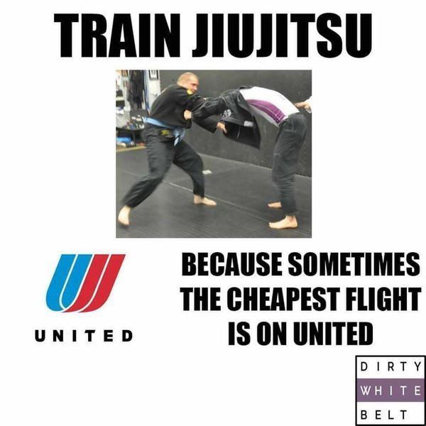 Последствия инцидента с применением силы в отношении пассажира авиакомпании United Airlines