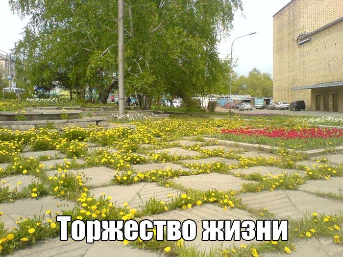Прикольные картинки