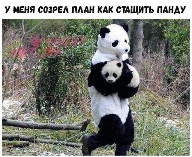 Прикольные картинки