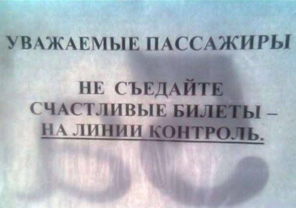 Прикольные картинки (62 фото)