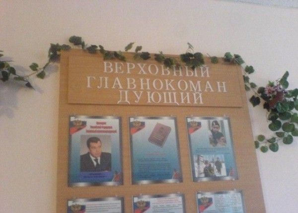 Прикольные картинки (62 фото)