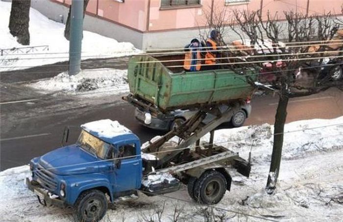 Прикольные картинки (62 фото)