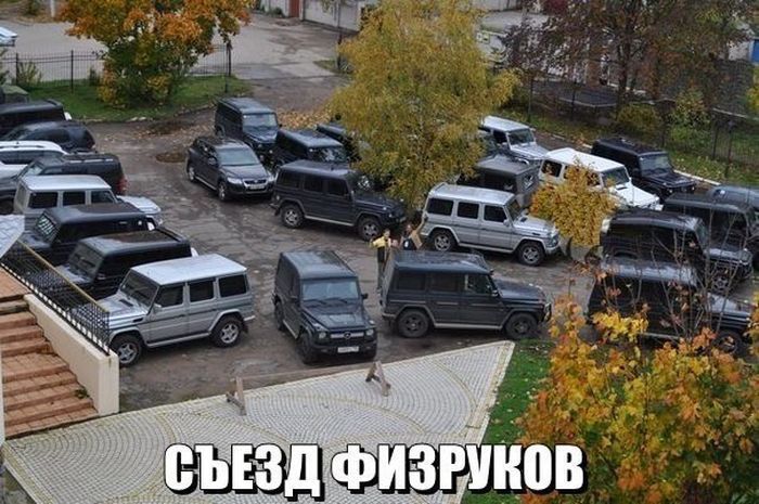 Прикольные картинки (62 фото)