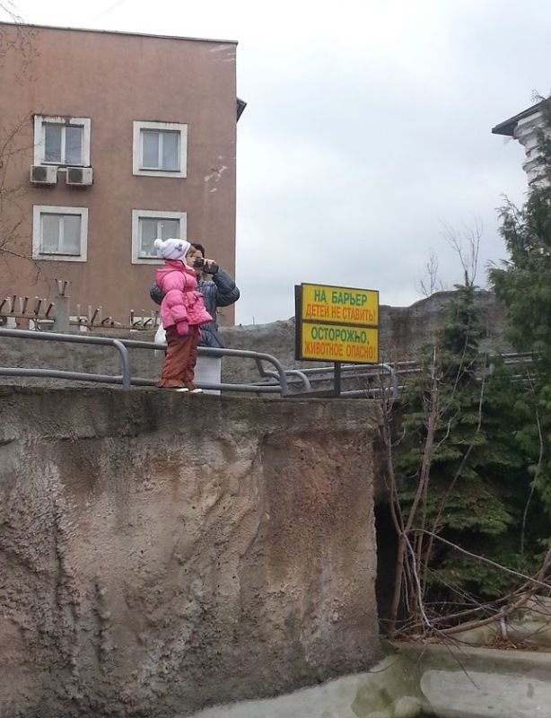 Прикольные картинки (62 фото)