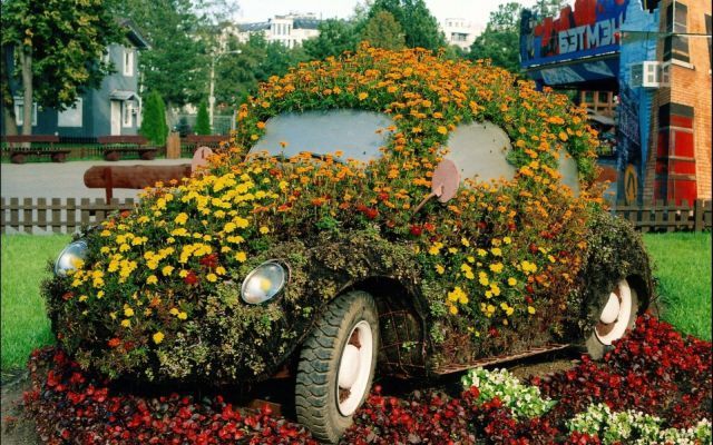 Прикольные картинки (62 фото)