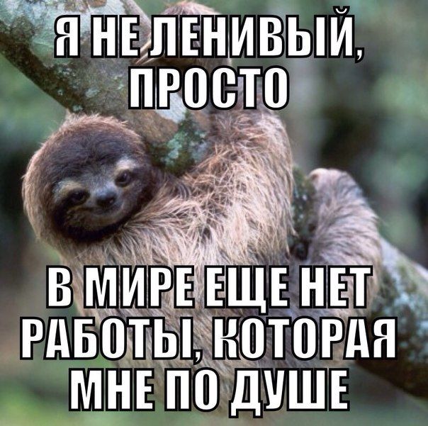 Порция картинок