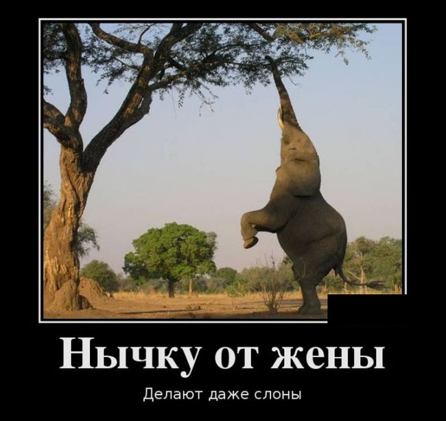 Демотиваторы