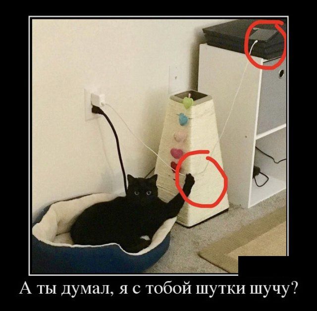 Демотиваторы