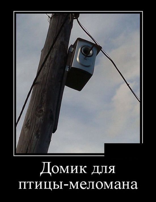 Демотиваторы