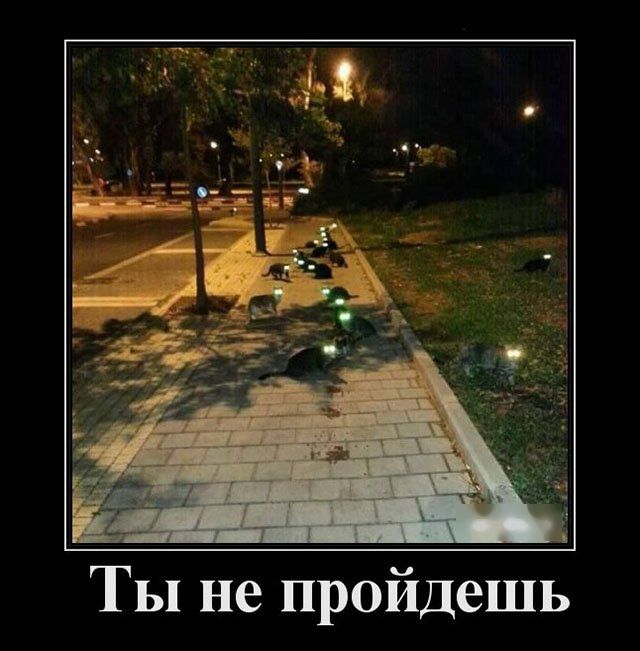 Демотиваторы