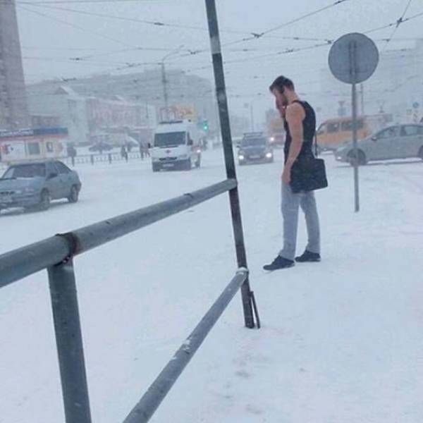 Прикольные картинки