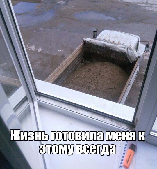 Прикольные картинки