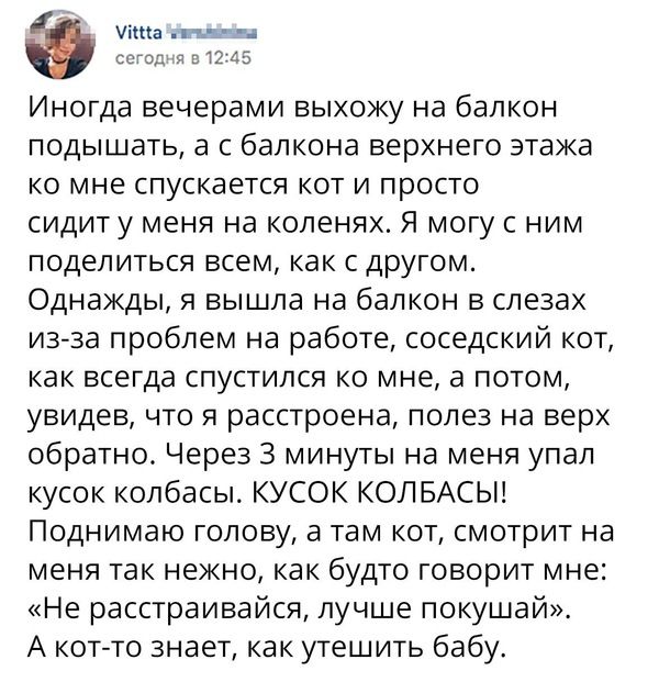 Юмор из соцсетей