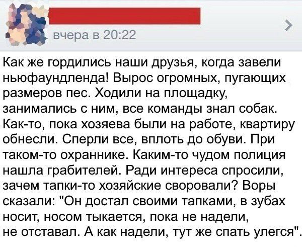 Юмор из соцсетей