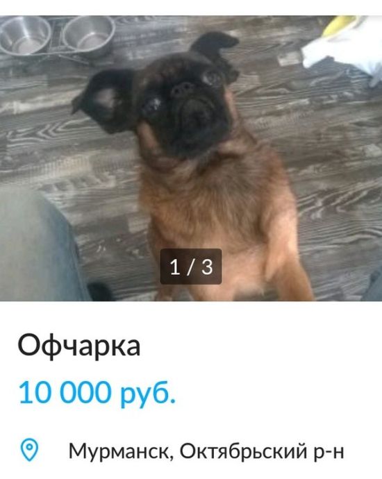 Юмор из соцсетей