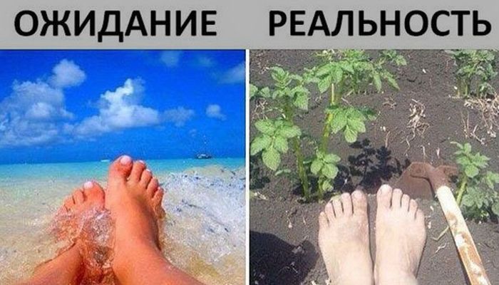 Подборка летних шуток