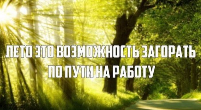Подборка летних шуток
