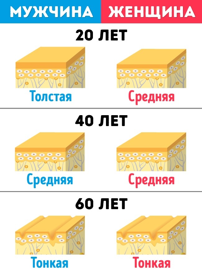 8 фактов о мужском теле, которых мы не знали 8 фактов о мужском теле, которых мы не знали
