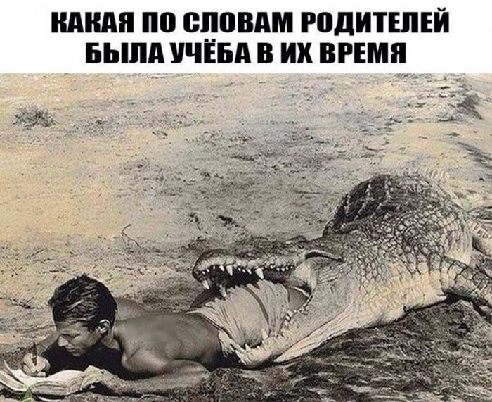 Подборка легкого юмора