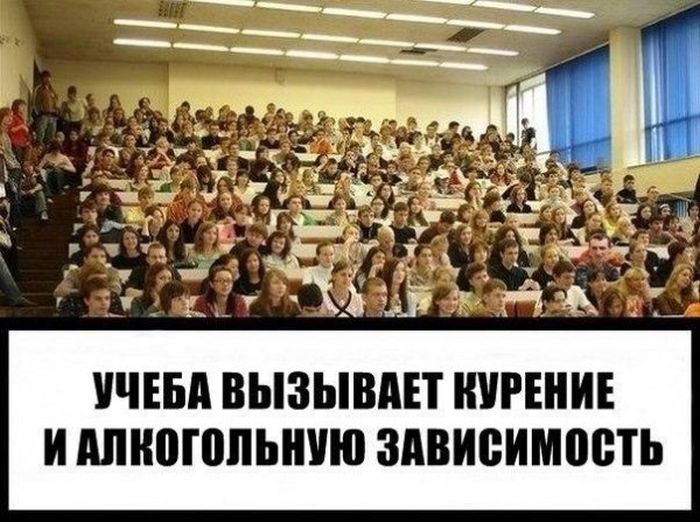 Подборка легкого юмора