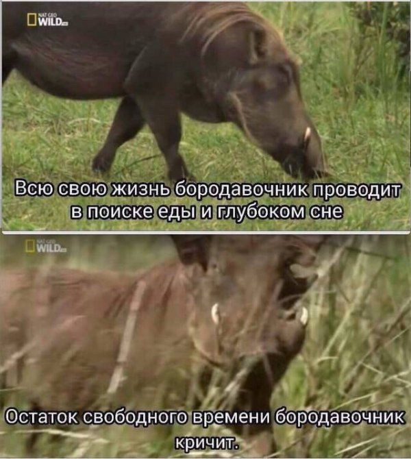Подборка легкого юмора