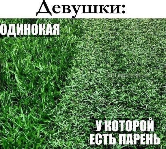Подборка легкого юмора