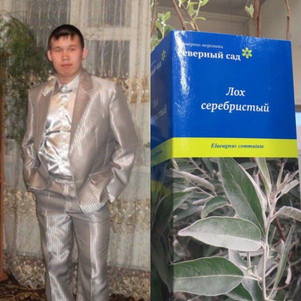 Подборка легкого юмора