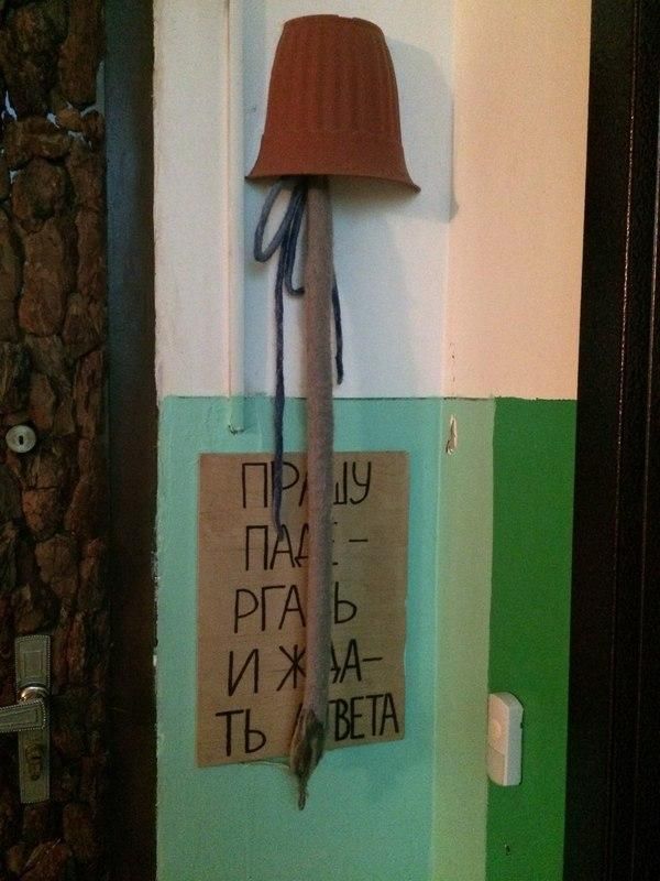 Краснодарская квартира Совы из мультика о Винни-Пухе