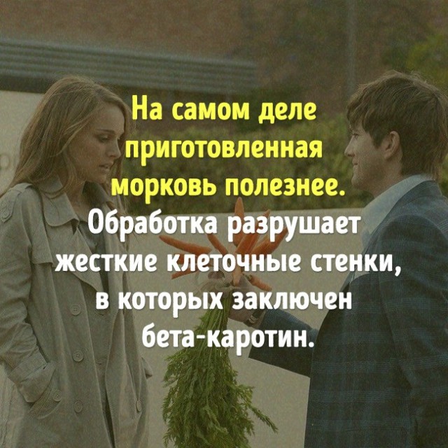 Опровержения популярных мифов о еде
