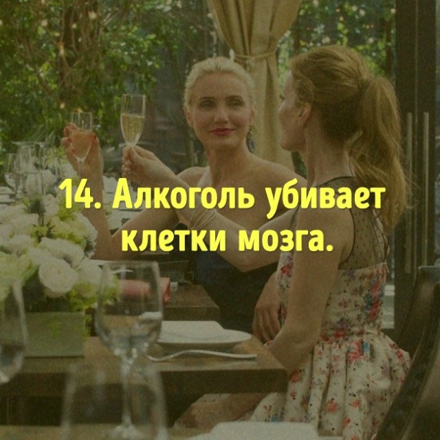 Опровержения популярных мифов о еде