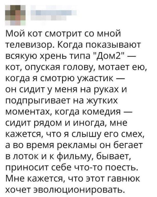 Юмор из социальных сетей