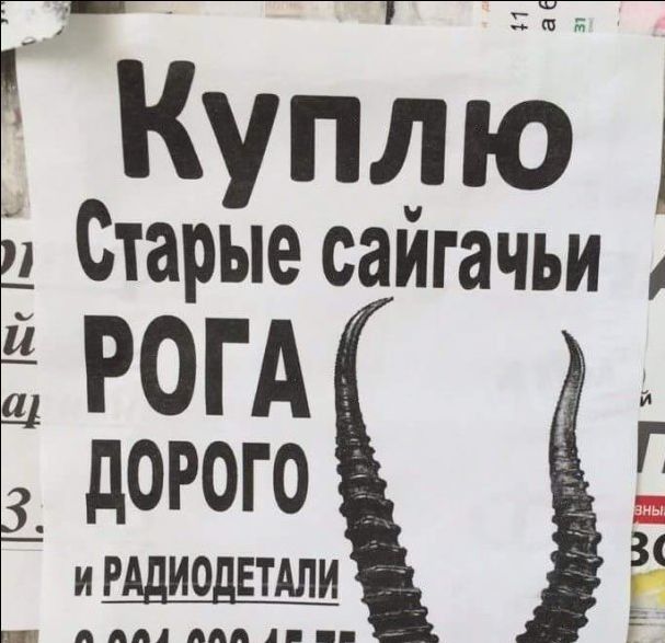Прикольные надписи и объявления
