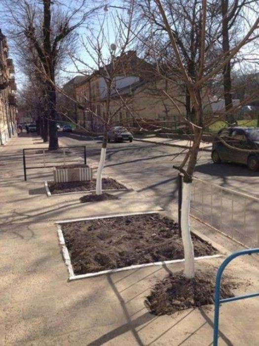 Только у нас в России